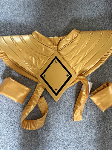 Dragon shield - dragon,